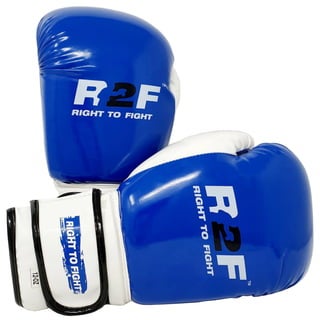 Boxing Gloves Rex Leather Kick Fight