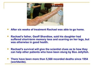 After six weeks of treatment Rachael was able to go home.  Rachael's father, Geoff Shardlow, said his daughter had suffered short-term memory loss and scarring on her legs, but was otherwise in good health.  Rachael's survival will give the scientist clues as to how they can help other patients who have been stung by Box Jellyfish.   There have been more than 5,568 recorded deaths since 1954 (worldwide). 
