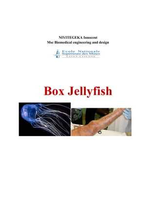NIYITEGEKA Innocent
Msc Biomedical engineering and design

Box Jellyfish

 