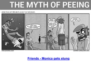 Friends - Monica gets stung
10
 