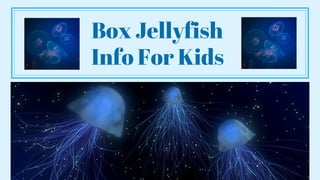 Box Jellyfish
Info For Kids
 