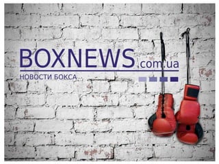 Boxnews 2015