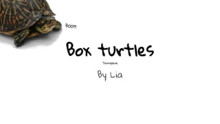 Box turtles
Terrapene
By Lia
 