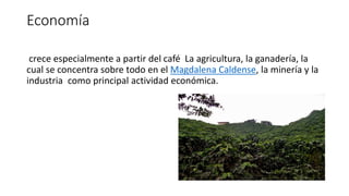Economía
crece especialmente a partir del café La agricultura, la ganadería, la
cual se concentra sobre todo en el Magdalena Caldense, la minería y la
industria como principal actividad económica.
 