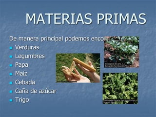 MATERIAS PRIMAS
De manera principal podemos encontrar:
 Verduras
 Legumbres
 Papa
 Maíz
 Cebada
 Caña de azúcar
 Trigo
 