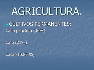 AGRICULTURA.
 CULTIVOS PERMANENTES:
Caña panelera (36%)
Café (21%)
Cacao (0,85 %)
 