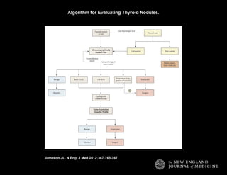 Nps Thyroid Algorithm Recent advances in the diagnosis and treatment of thyroid cancer | PPT
