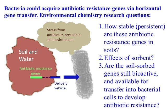 Antibiotic resistance essay papers