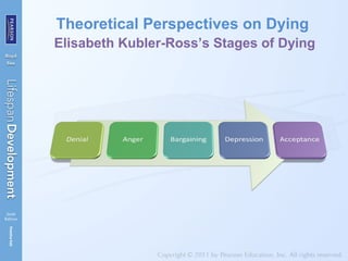 Theoretical Perspectives on Dying
Elisabeth Kubler-Ross’s Stages of Dying
 