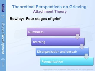 Theoretical Perspectives on Grieving
Attachment Theory
Bowlby: Four stages of grief
 