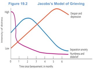 Figure 19.2 Jacobs’s Model of Grieving
 