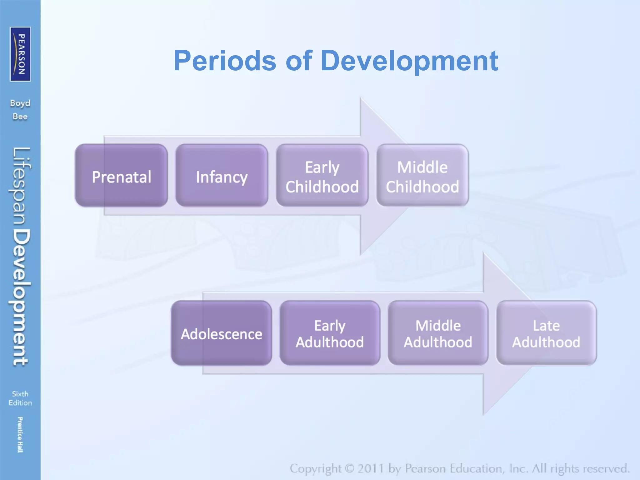 Periods of Development
 
