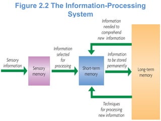 Figure 2.2 The Information-Processing
System
 