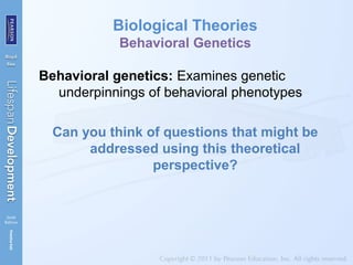 Biological Theories
Behavioral Genetics
Behavioral genetics: Examines genetic
underpinnings of behavioral phenotypes
Can you think of questions that might be
addressed using this theoretical
perspective?
 