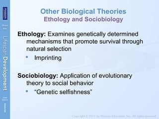 Other Biological Theories
Ethology and Sociobiology
Ethology: Examines genetically determined
mechanisms that promote survival through
natural selection
 Imprinting
Sociobiology: Application of evolutionary
theory to social behavior
 “Genetic selfishness”
 