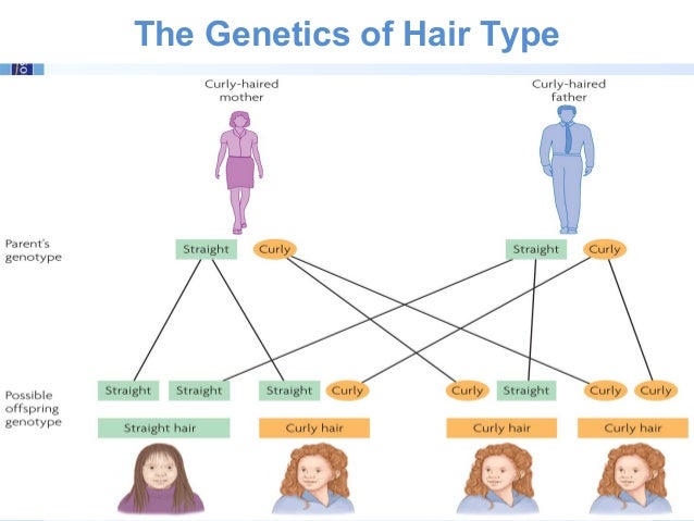 Boyd Ppt Ch3 F 2