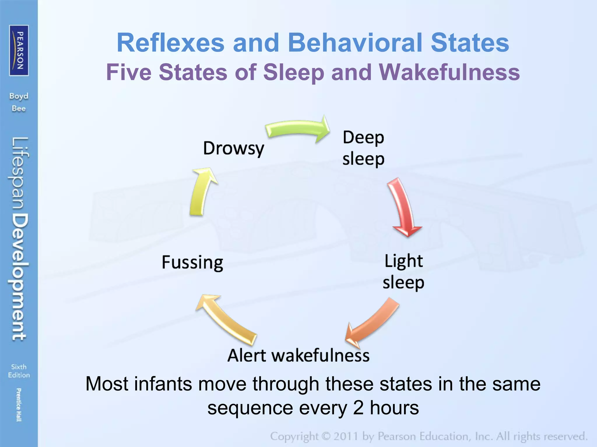 Most infants move through these states in the same
sequence every 2 hours
Reflexes and Behavioral States
Five States of Sleep and Wakefulness
 