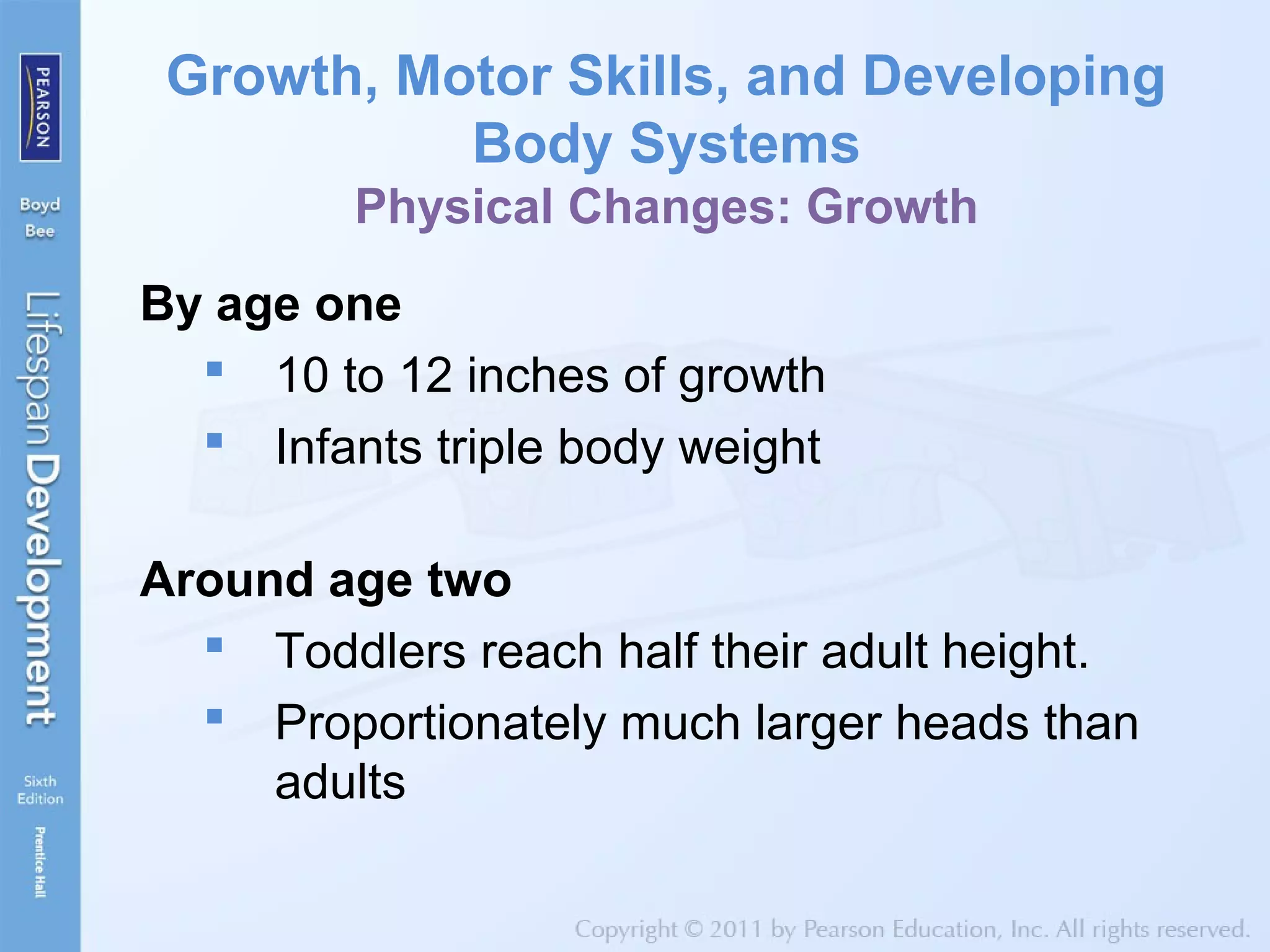 Growth, Motor Skills, and Developing
Body Systems
Physical Changes: Growth
By age one
 10 to 12 inches of growth
 Infants triple body weight
Around age two
 Toddlers reach half their adult height.
 Proportionately much larger heads than
adults
 