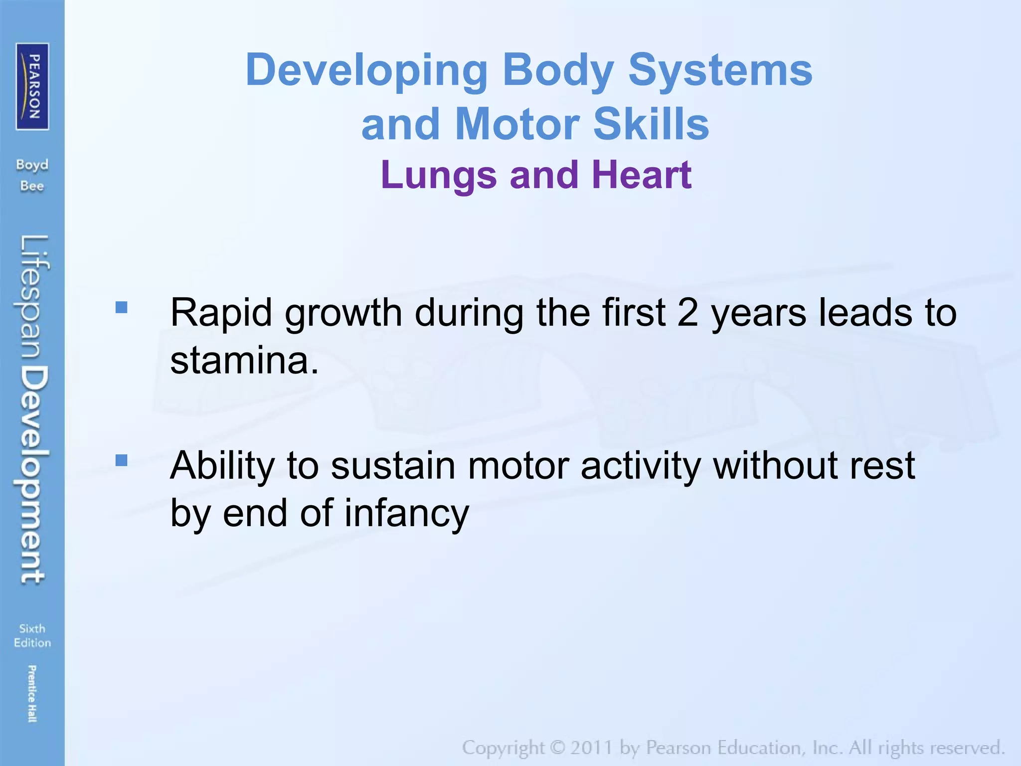 Developing Body Systems
and Motor Skills
Lungs and Heart
 Rapid growth during the first 2 years leads to
stamina.
 Ability to sustain motor activity without rest
by end of infancy
 