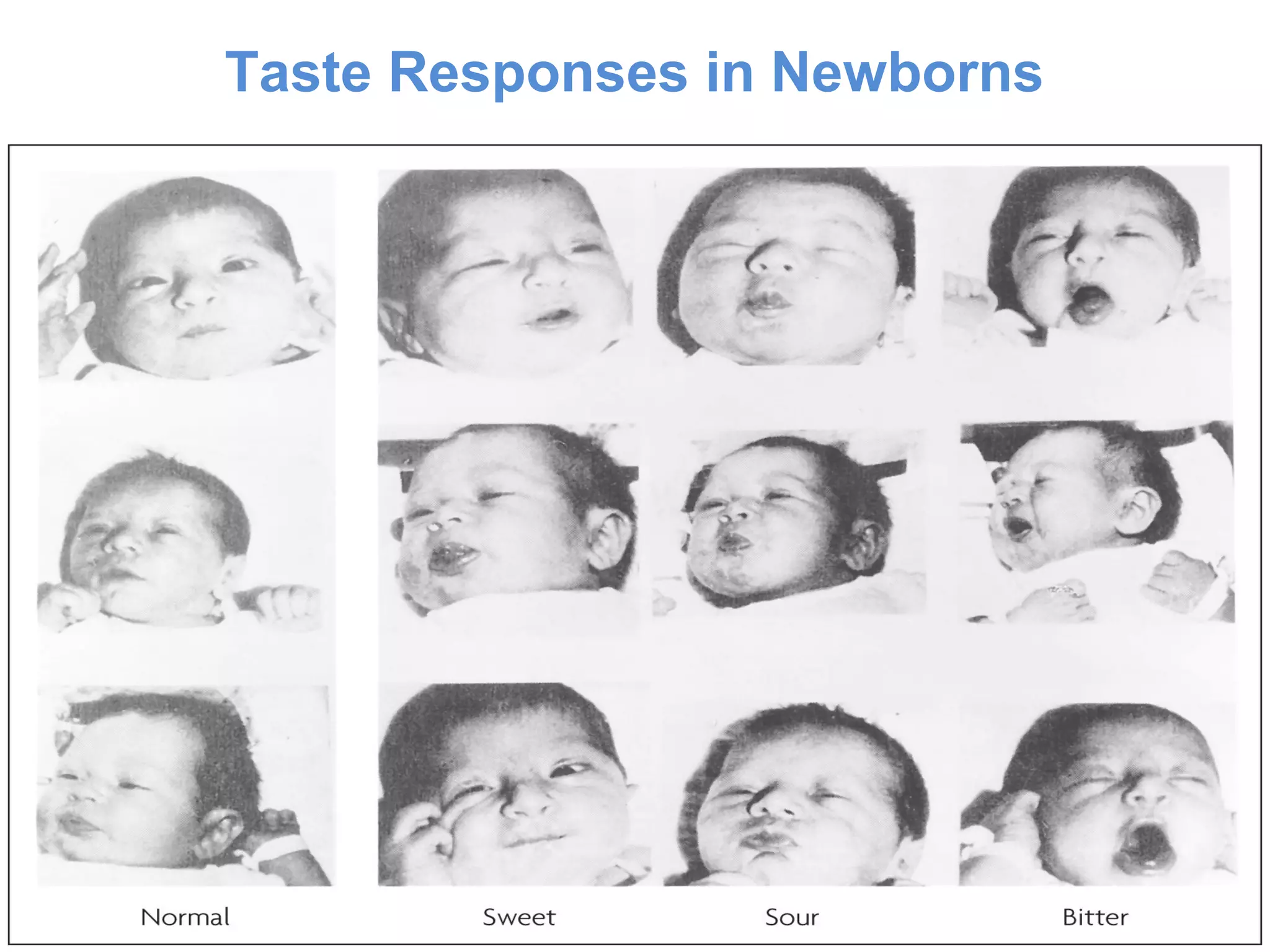 Taste Responses in Newborns
 