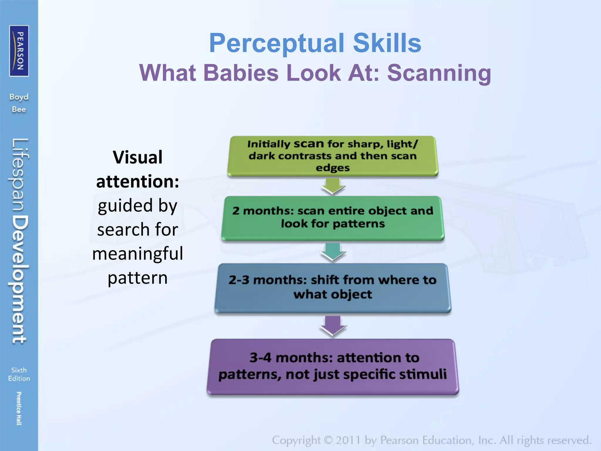 Visual
attention:
guided by
search for
meaningful
pattern
Perceptual Skills
What Babies Look At: Scanning
 