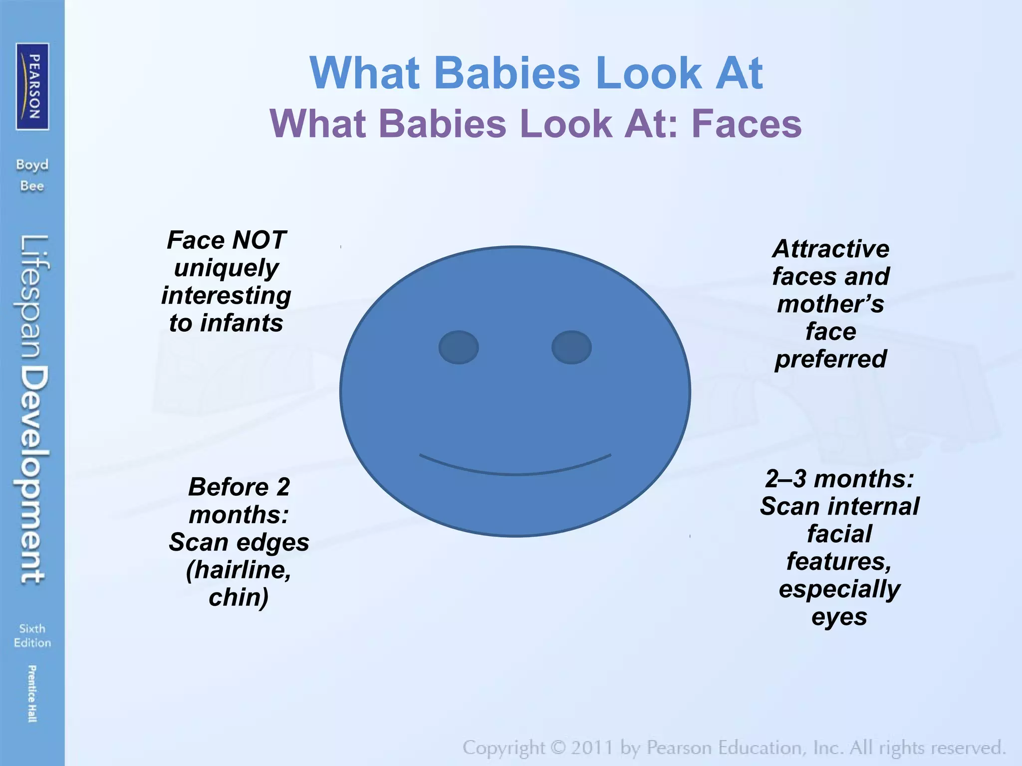 What Babies Look At
What Babies Look At: Faces
Face NOT
uniquely
interesting
to infants
Before 2
months:
Scan edges
(hairline,
chin)
2–3 months:
Scan internal
facial
features,
especially
eyes
Attractive
faces and
mother’s
face
preferred
 
