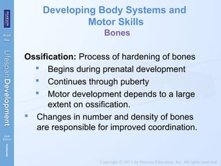 Developing Body Systems and
Motor Skills
Bones
Ossification: Process of hardening of bones
 Begins during prenatal development
 Continues through puberty
 Motor development depends to a large
extent on ossification.
 Changes in number and density of bones
are responsible for improved coordination.
 