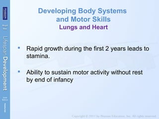 Developing Body Systems
and Motor Skills
Lungs and Heart
 Rapid growth during the first 2 years leads to
stamina.
 Ability to sustain motor activity without rest
by end of infancy
 