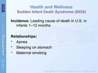 Health and Wellness
Sudden Infant Death Syndrome (SIDS)
Incidence: Leading cause of death in U.S. in
infants 1–12 months
Relationships:
 Apnea
 Sleeping on stomach
 Maternal smoking
 
