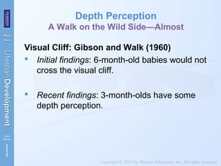 Depth Perception
A Walk on the Wild Side—Almost
Visual Cliff: Gibson and Walk (1960)
 Initial findings: 6-month-old babies would not
cross the visual cliff.
 Recent findings: 3-month-olds have some
depth perception.
 