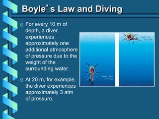 BOYLE'S LAW.ppt