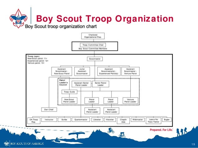 Boy Scout Troop Chart