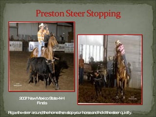 2007 New Mexico State 4-H Finals Rope the steer around the horns then stop your horse and hold the steer quietly. 