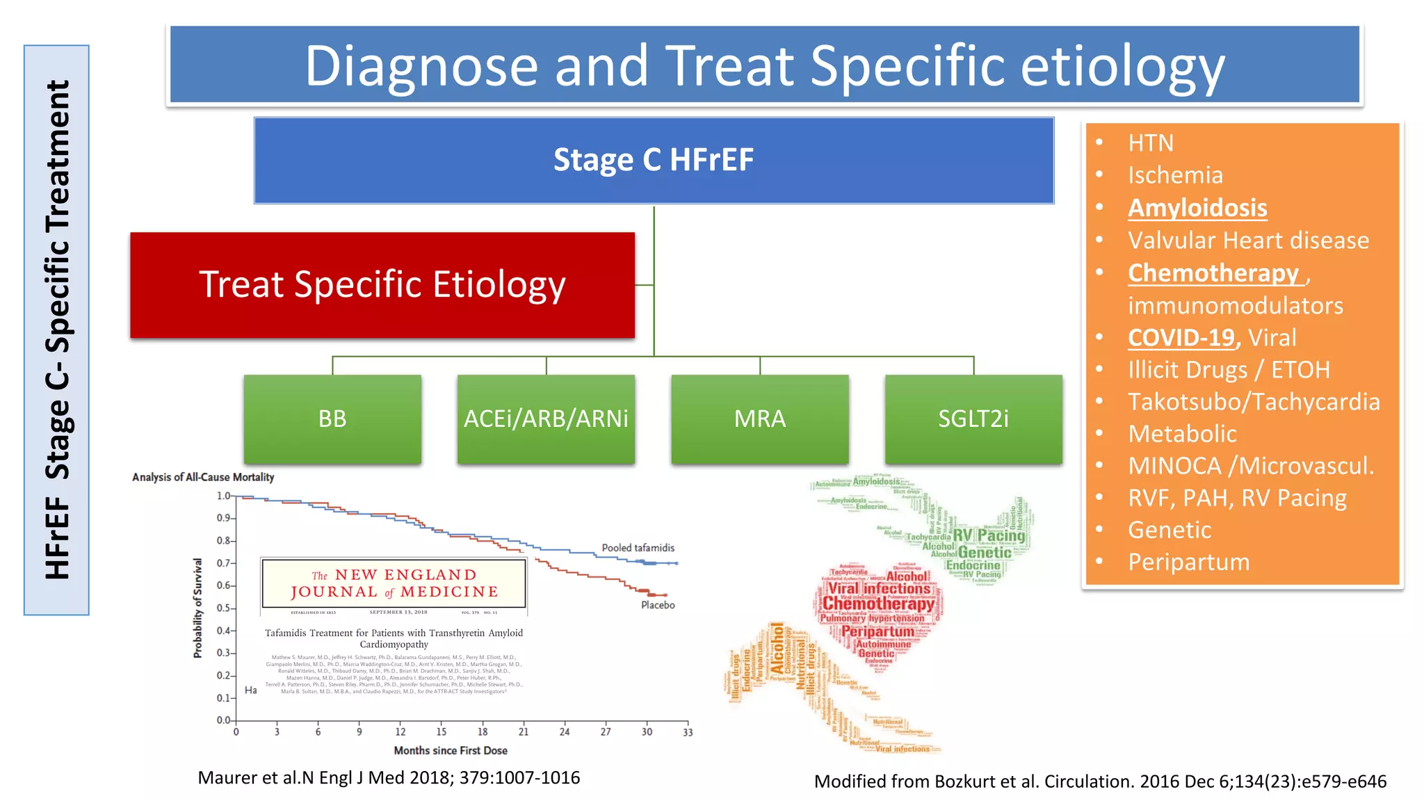 HFrEF
Stage
C-
Specific
Treatment
Modified from Bozkurt et al. Circulation. 2016 Dec 6;134(23):e579-e646
• HTN
• Ischemia
• Amyloidosis
• Valvular Heart disease
• Chemotherapy ,
immunomodulators
• COVID-19, Viral
• Illicit Drugs / ETOH
• Takotsubo/Tachycardia
• Metabolic
• MINOCA /Microvascul.
• RVF, PAH, RV Pacing
• Genetic
• Peripartum
Stage C HFrEF
BB ACEi/ARB/ARNi MRA SGLT2i
Treat Specific Etiology
Diagnose and Treat Specific etiology
Maurer et al.N Engl J Med 2018; 379:1007-1016
 