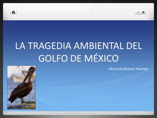 LA TRAGEDIA AMBIENTAL DEL GOLFO DE MÉXICO Mauricio Brenes Huertas 