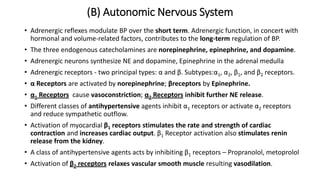 (B) Autonomic Nervous System
• Adrenergic reflexes modulate BP over the short term. Adrenergic function, in concert with
hormonal and volume-related factors, contributes to the long-term regulation of BP.
• The three endogenous catecholamines are norepinephrine, epinephrine, and dopamine.
• Adrenergic neurons synthesize NE and dopamine, Epinephrine in the adrenal medulla
• Adrenergic receptors - two principal types: α and β. Subtypes:α1, α2, β1, and β2 receptors.
• α Receptors are activated by norepinephrine; βreceptors by Epinephrine.
• α1 Receptors cause vasoconstriction; α2 Receptors inhibit further NE release.
• Different classes of antihypertensive agents inhibit α1 receptors or activate α2 receptors
and reduce sympathetic outflow.
• Activation of myocardial β1 receptors stimulates the rate and strength of cardiac
contraction and increases cardiac output. β1 Receptor activation also stimulates renin
release from the kidney.
• A class of antihypertensive agents acts by inhibiting β1 receptors – Propranolol, metoprolol
• Activation of β2 receptors relaxes vascular smooth muscle resulting vasodilation.
 