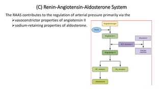 (C) Renin-Angiotensin-Aldosterone System
The RAAS contributes to the regulation of arterial pressure primarily via the
vasoconstrictor properties of angiotensin II
sodium-retaining properties of aldosterone.
 