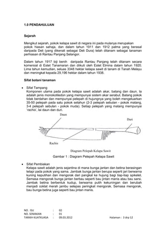 NO. ISU : 02
NO. SEMAKAN : 01
TARIKH KUATKUASA : 09.03.2012 Halaman : 3 drp 12
1.0 PENDAHULUAN
Sejarah
Mengikut sejarah, pokok kelapa sawit di negara ini pada mulanya merupakan
pokok hiasan sahaja, dan dalam tahun 1911 dan 1912 palma yang berasal
daripada Deli (yang dikenali sebagai Deli Dura) telah ditanam sebagai tanaman
perhiasan di Rantau Panjang Selangor.
Dalam tahun 1917 biji benih daripada Rantau Panjang telah ditanam secara
komersial di Estet Tanamaran dan diikuti oleh Estet Elmina dalam tahun 1920.
Lima tahun kemudian, seluas 3348 hektar kelapa sawit di tanam di Tanah Melayu
dan meningkat kepada 29,196 hektar dalam tahun 1938.
Sifat botani tanaman
 Sifat Tampang
Komponen utama pada pokok kelapa sawit adalah akar, batang dan daun. Ia
adalah jenis monokotiledon yang mempunyai sistem akar serabut. Batang pokok
tidak berdahan dan mempunyai pelepah di hujungnya yang boleh mengeluarkan
35-50 pelepah pada satu pokok setahun (2-3 pelepah sebulan - pokok matang,
3-4 pelepah sebulan - pokok muda). Setiap pelepah yang matang mempunyai
‘rachis’, lai daun dan duri.
Gambar 1 : Diagram Pelepah Kelapa Sawit
 Sifat Pembiakan
Kelapa sawit adalah jenis sejantina di mana bunga jantan dan betina berasingan
tetapi pada pokok yang sama. Jambak bunga jantan berupa seperti jari berwarna
kuning keputihan dan mengorak dari pangkal ke hujung bagi tiap-tiap spikelet.
Semasa mengorak bunga jantan berbau seperti bau jintan manis atau bau sarsi.
Jambak betina berbentuk kudup, berwarna putih kekuningan dan berubah
menjadi coklat merah jambu selepas peringkat mengorak. Semasa mengorak,
bau bunga betina juga seperti bau jintan manis.
Rachis
Duri
Daun
Diagram Pelepah Kelapa Sawit
 