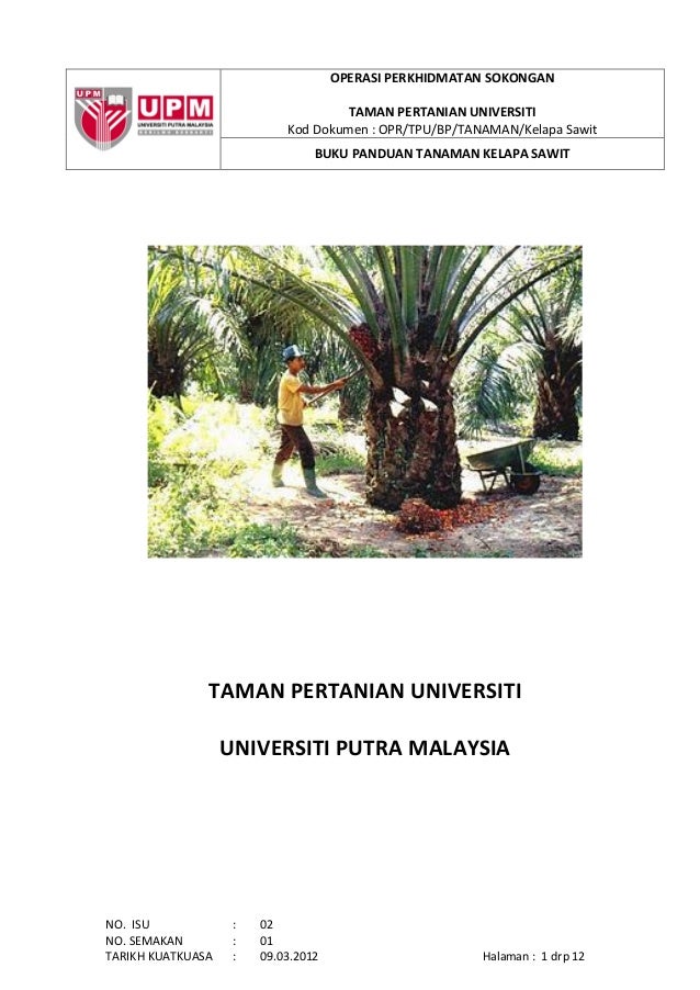 Sawit Sawit