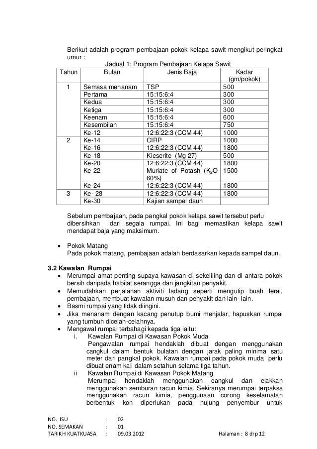 Tanaman Kelapa Sawit