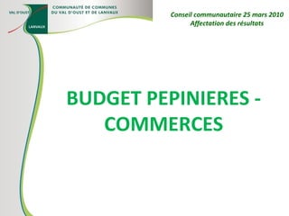 BUDGET PEPINIERES - COMMERCES Conseil communautaire 25 mars 2010 Affectation des résultats 