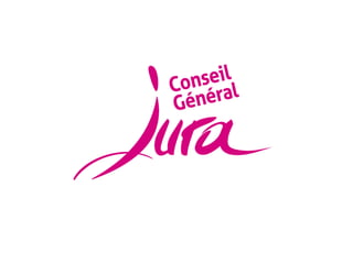 Budget Primitif 2013