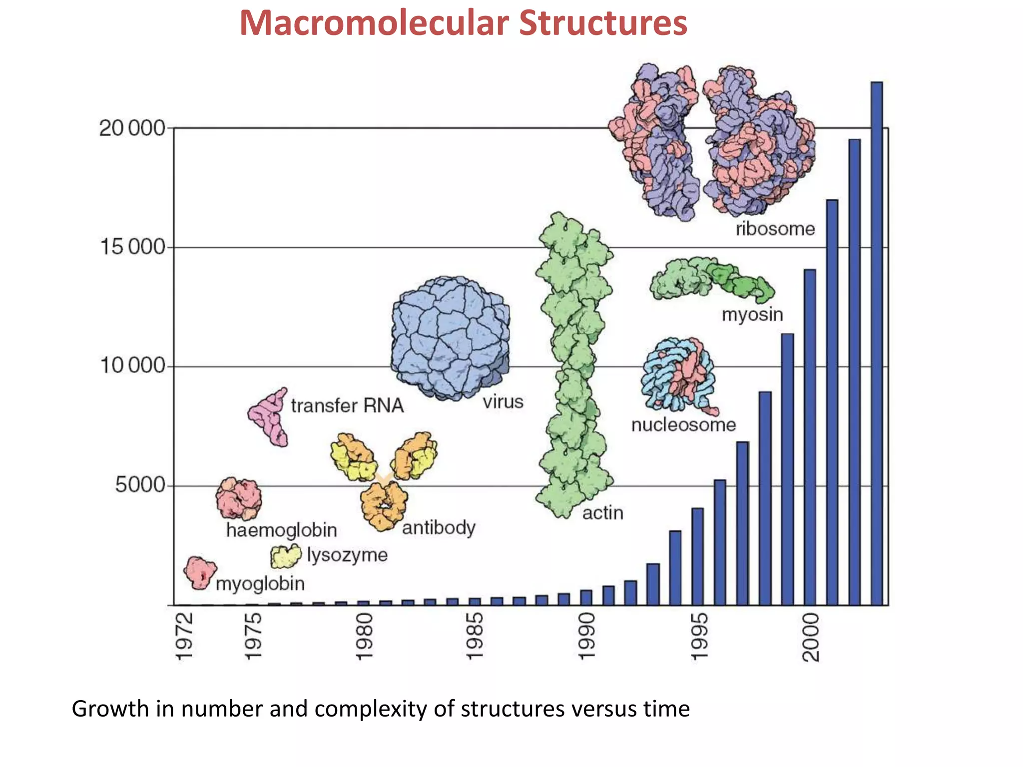 Macromolecular StructuresGrowth in number and complexity of structures versus time