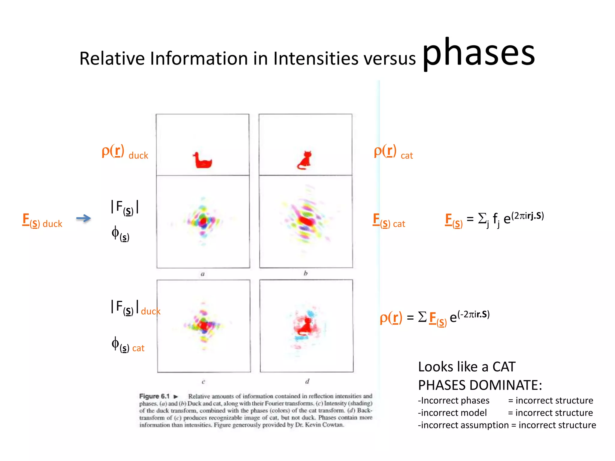 Relative Information in Intensities versus phasesr(r) duckr(r) cat|F(S)|F(S)= Sjfj e(2pirj.S)F(S) duckF(S) catf(s)|F(S)|duckr(r) = SF(S) e(-2pir.S)f(s) catLooks like a CATPHASES DOMINATE:-Incorrect phases        = incorrect structure-incorrect model         = incorrect structure-incorrect assumption = incorrect structure 