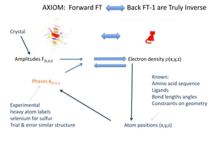 AXIOM:  Forward FT               Back FT-1 are Truly InverseCrystalAmplitudes F(h,k,l)Electron density r(x,y,z)Known:Amino acid sequenceLigandsBond lengths anglesConstraints on geometryPhases f(h,k,l)Experimentalheavy atom labelsselenium for sulfurTrial & error similar structureAtom positions (x,y,z)