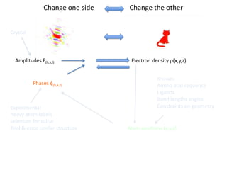 Change one side                     Change the other                          CrystalAmplitudes F(h,k,l)Electron density r(x,y,z)Known:Amino acid sequenceLigandsBond lengths anglesConstraints on geometryPhases f(h,k,l)Experimentalheavy atom labelsselenium for sulfurTrial & error similar structureAtom positions (x,y,z)