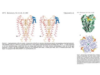 Fo-Fc maps identify everything ordered that is 'missing'mapmap-Eliminate Bias-Half electron content-See electrons