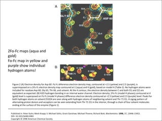 2Fo-Fc maps (aqua and gold)Fo-Fc map in yellow and purple show individual hydrogen atoms!Figure 2 (A) Electron density for Asp 60. Fo Fc difference electron density map, contoured at +2.5 (yellow) and 2.5 (purple), is superimposed on a 2Fo Fc electron density map contoured at 1 (aqua) and 4 (gold), based on model H (Table 2). No hydrogen atoms were included for residues Asp 60, Gly 63, Thr 66, and solvent. At the 4 contour, the electron density between C and both O1 and O2 are equivalent as expected. (B) H2O hydrogen bonding in an internal water channel. Electron density; 2Fo Fc (model H phases) contoured at 4 (gold) level is superposed on Fo Fc (model H phases) difference electron density contoured at +2.5 (yellow) and 2.5 (purple) level. Peaks for both hydrogen atoms on solvent O1024 are seen along with hydrogen atoms of neighboring solvent and Thr 71 O1. A zigzag pattern of alternating proton donors and acceptors can be seen extending from Thr 71 O1 in the interior, through a chain of four solvent molecules ending at the surface of the enzyme (Figure 1). Published in: Peter Kuhn; Mark Knapp; S. Michael Soltis; Grant Ganshaw; Michael Thoene; Richard Bott; Biochemistry  1998, 37, 13446-13452.DOI: 10.1021/bi9813983Copyright © 1998 American Chemical Society4/11/11