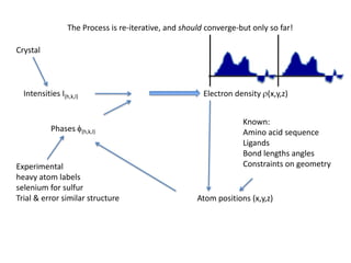 The Process is re-iterative, and should converge-but only so far!CrystalIntensities I(h,k,l)Electron density r(x,y,z)Known:Amino acid sequenceLigandsBond lengths anglesConstraints on geometryPhases f(h,k,l)Experimentalheavy atom labelsselenium for sulfurTrial & error similar structureAtom positions (x,y,z)