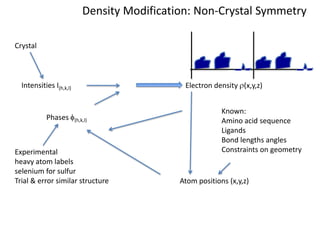 Density Modification: Non-Crystal SymmetryCrystalIntensities I(h,k,l)Electron density r(x,y,z)Known:Amino acid sequenceLigandsBond lengths anglesConstraints on geometryPhases f(h,k,l)Experimentalheavy atom labelsselenium for sulfurTrial & error similar structureAtom positions (x,y,z)
